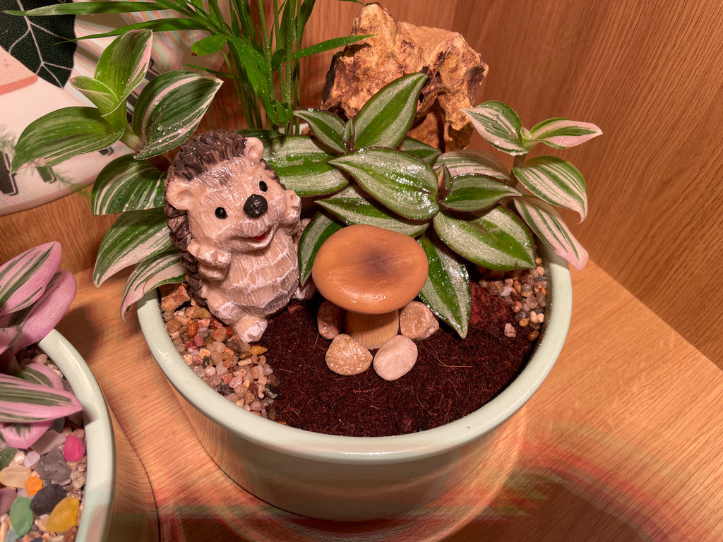 Hedgehog Bowl