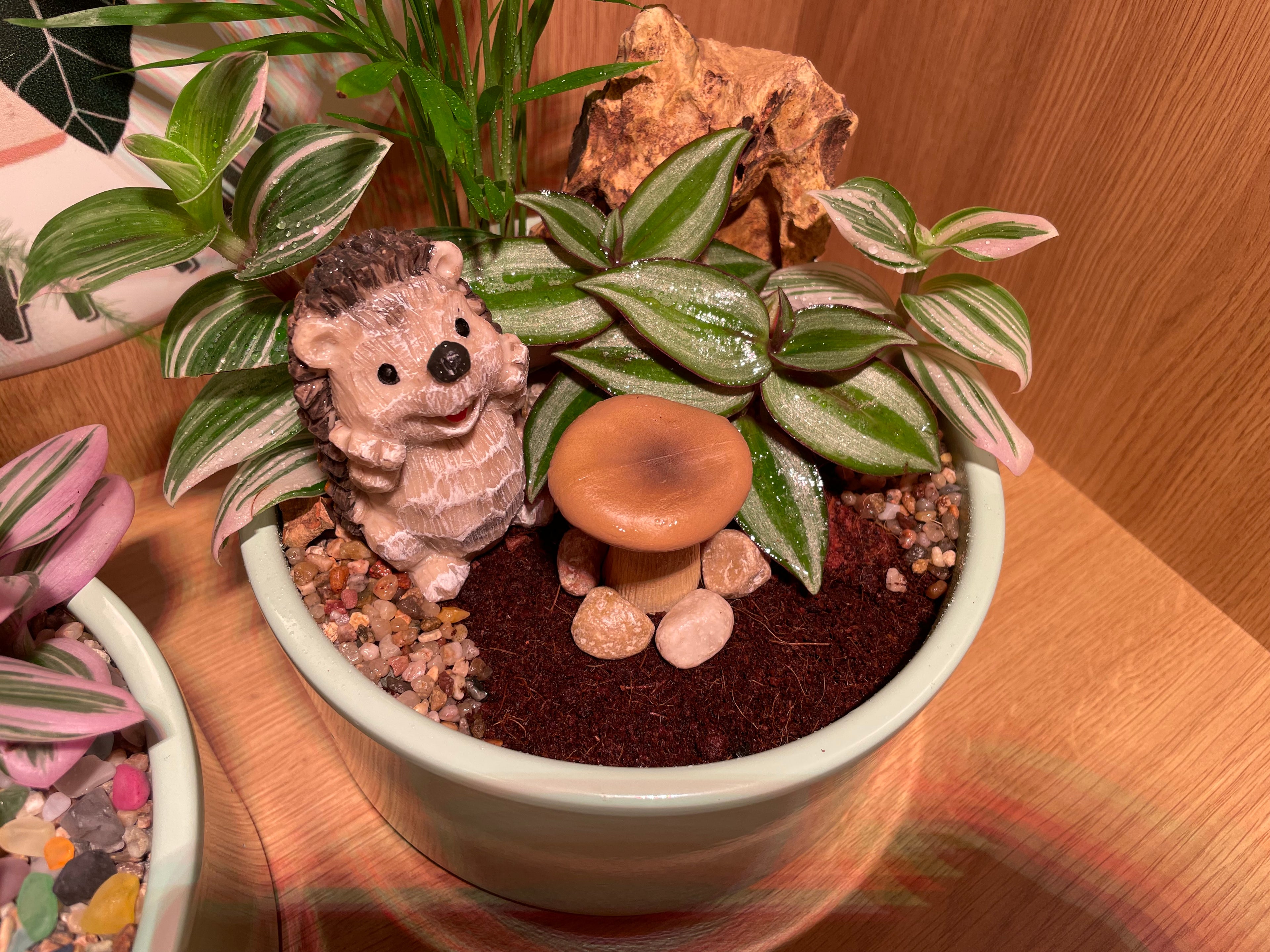 Hedgehog Bowl