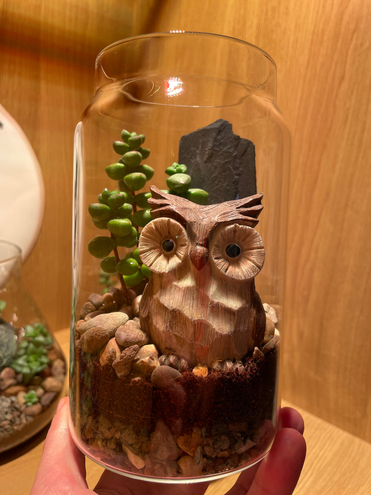 Little Owl Terrarium
