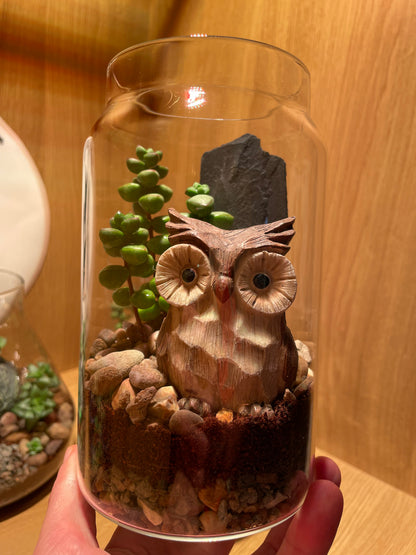 Little Owl Terrarium
