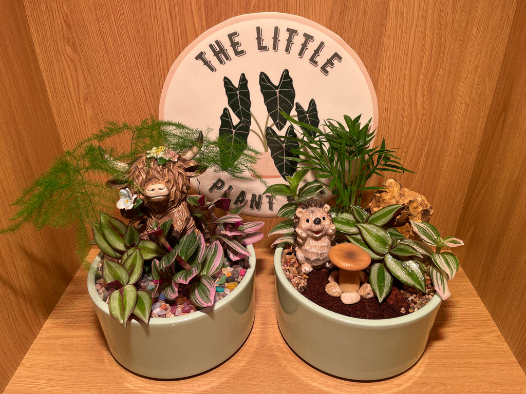 Hedgehog Bowl