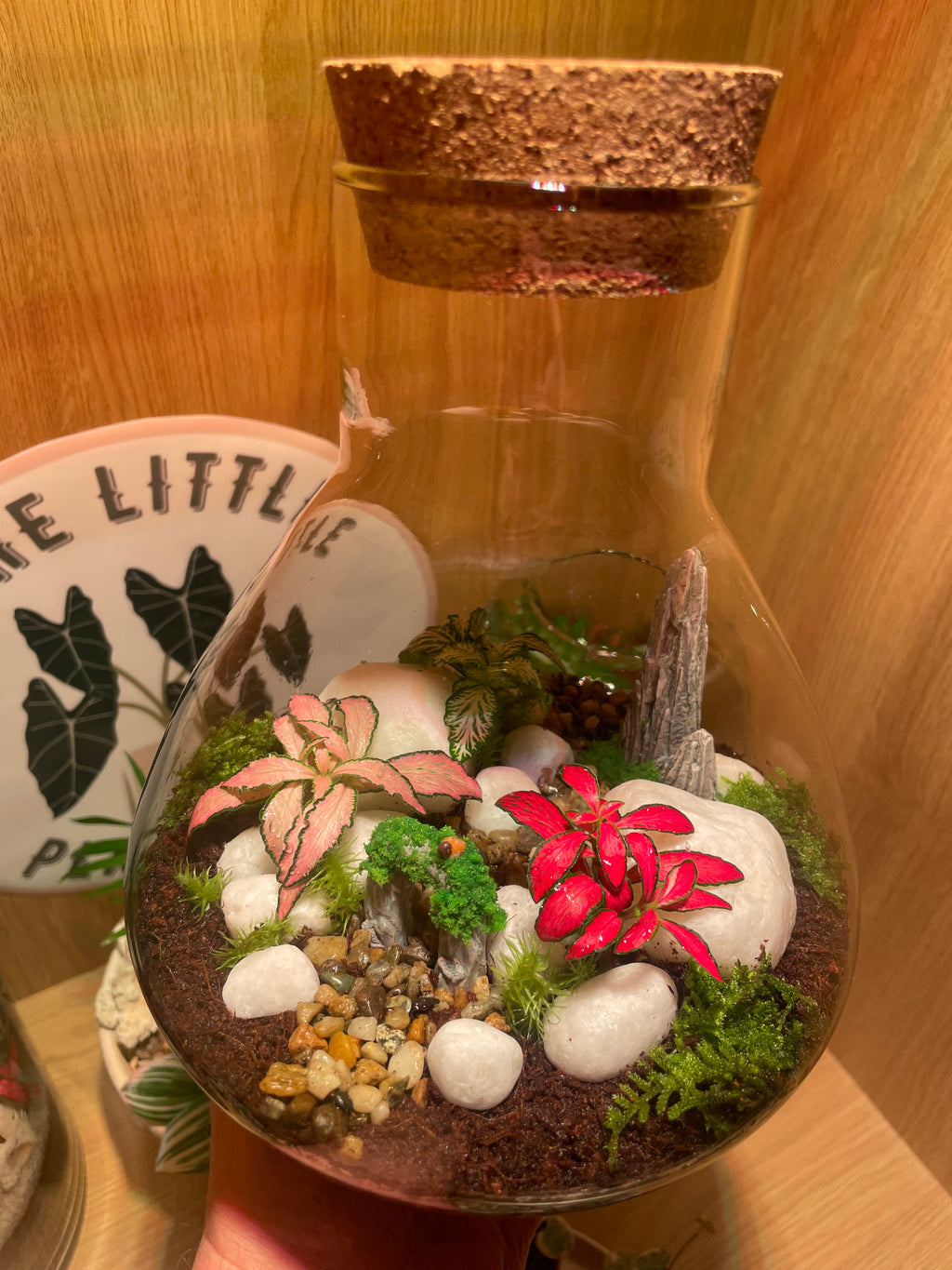 ***NEW*** Little Bird Terrarium