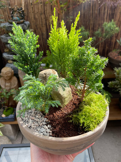 DIY Mini Forest Bowl Kit