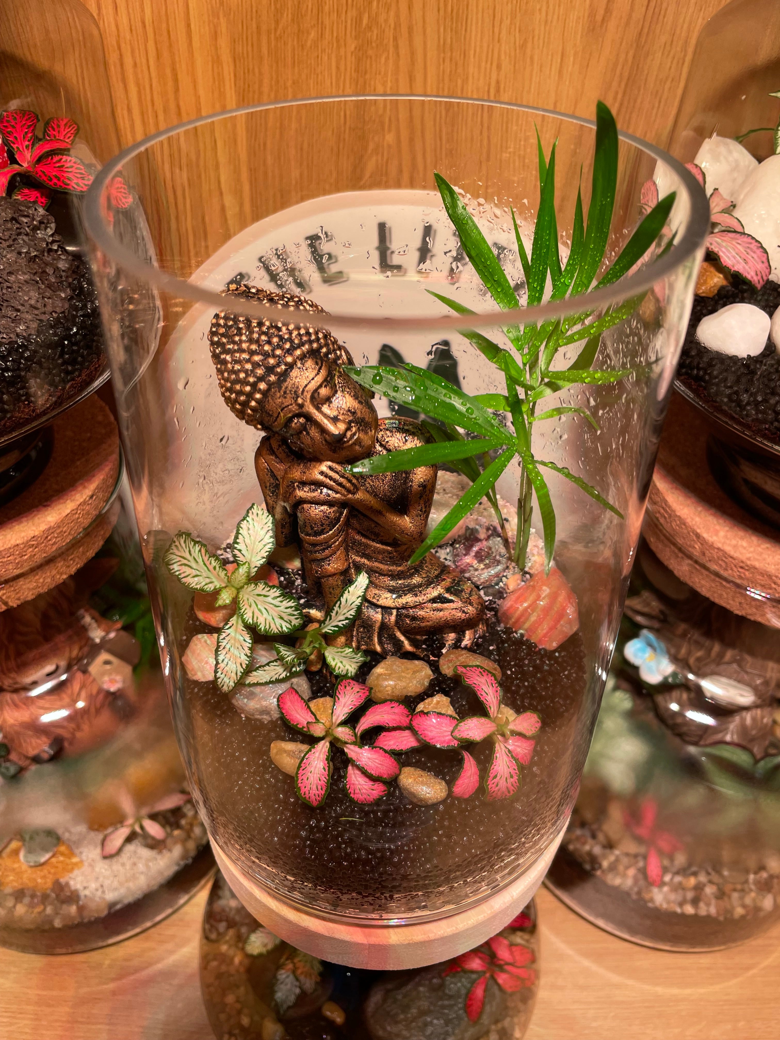 Buddha Glass