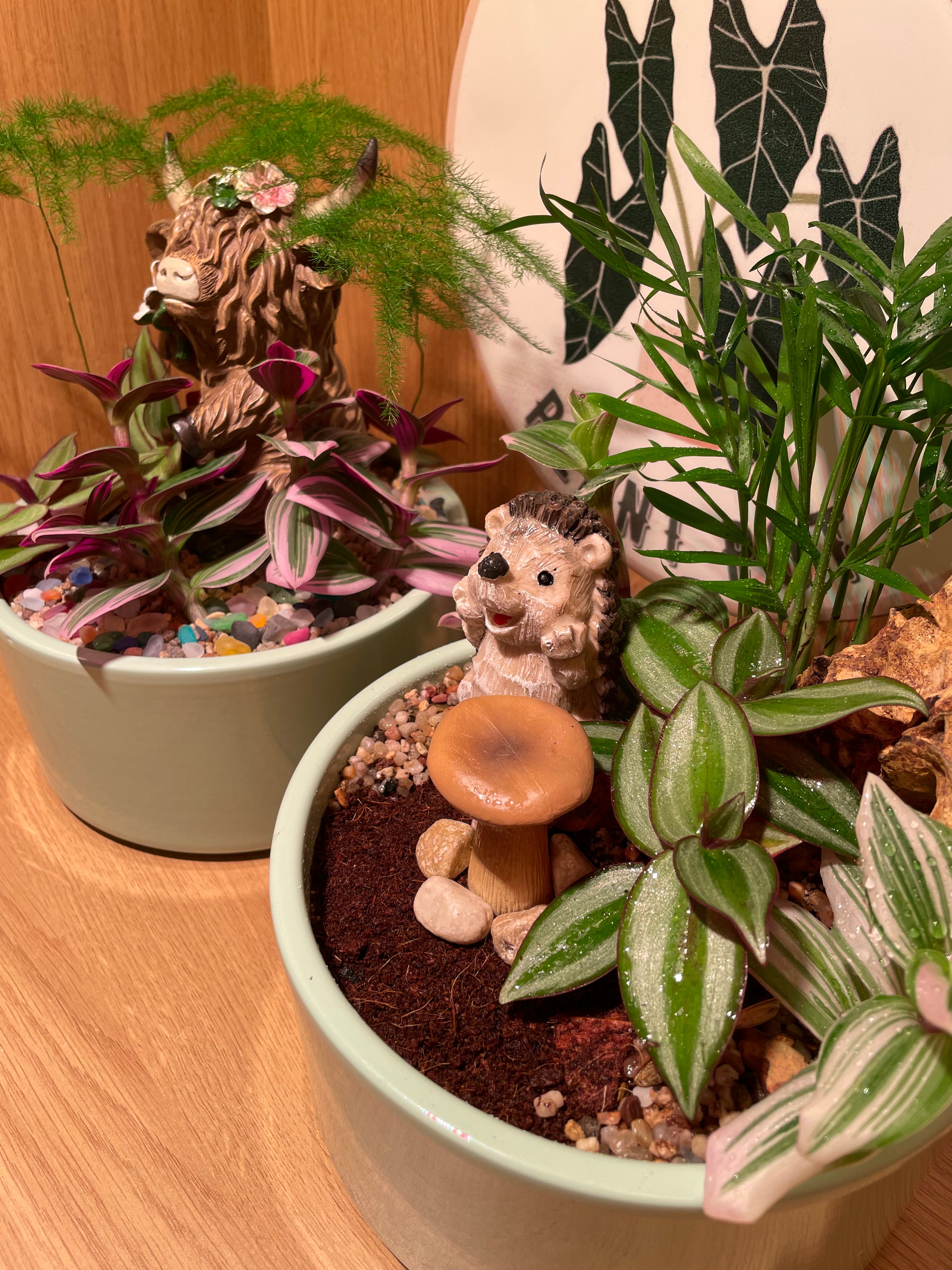 Hedgehog Bowl