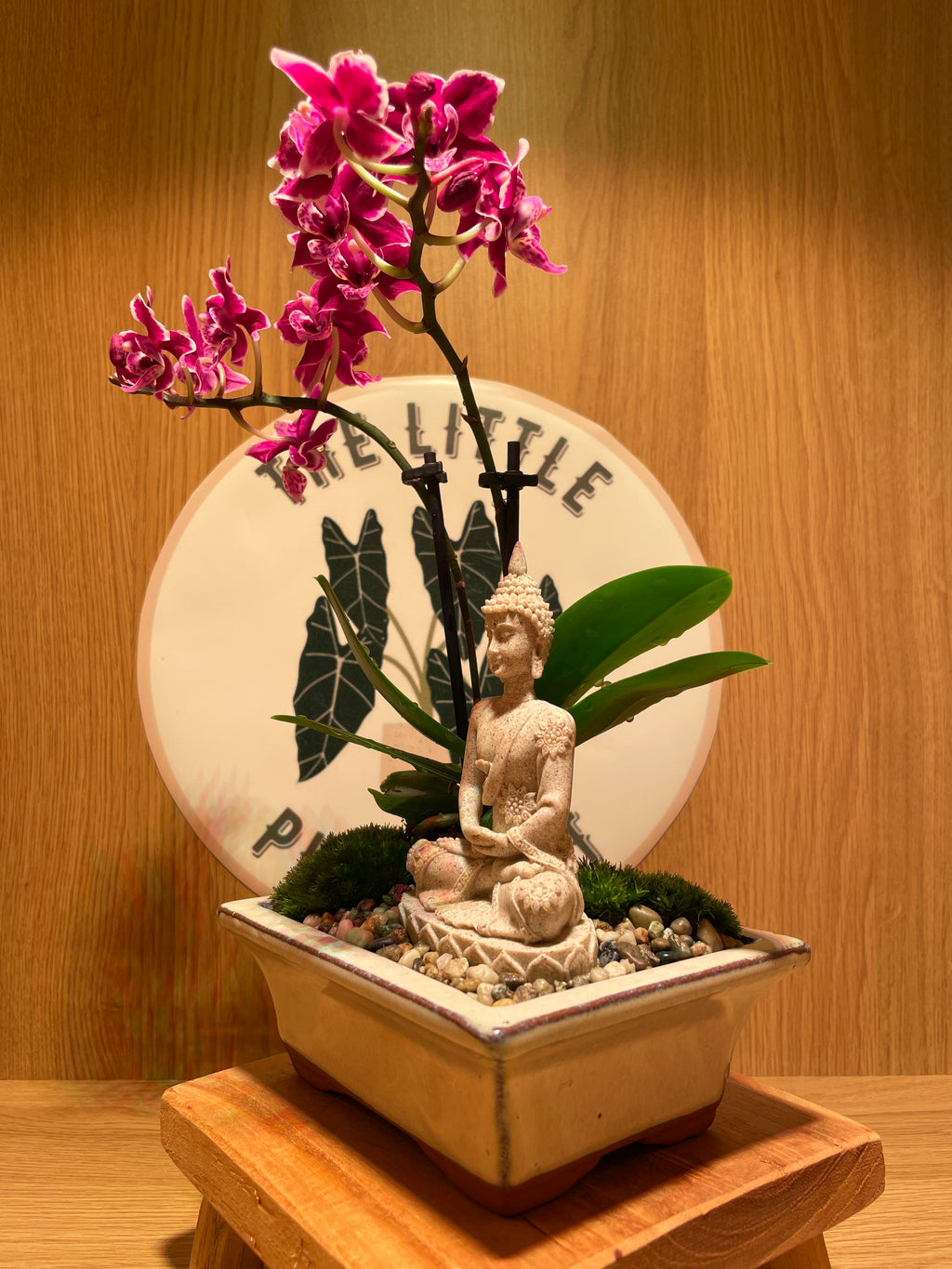 Buddha and the Orchid