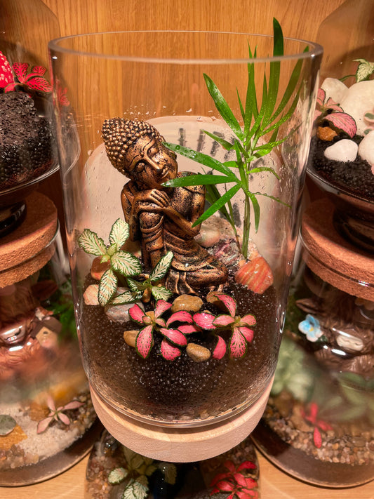 Buddha Glass