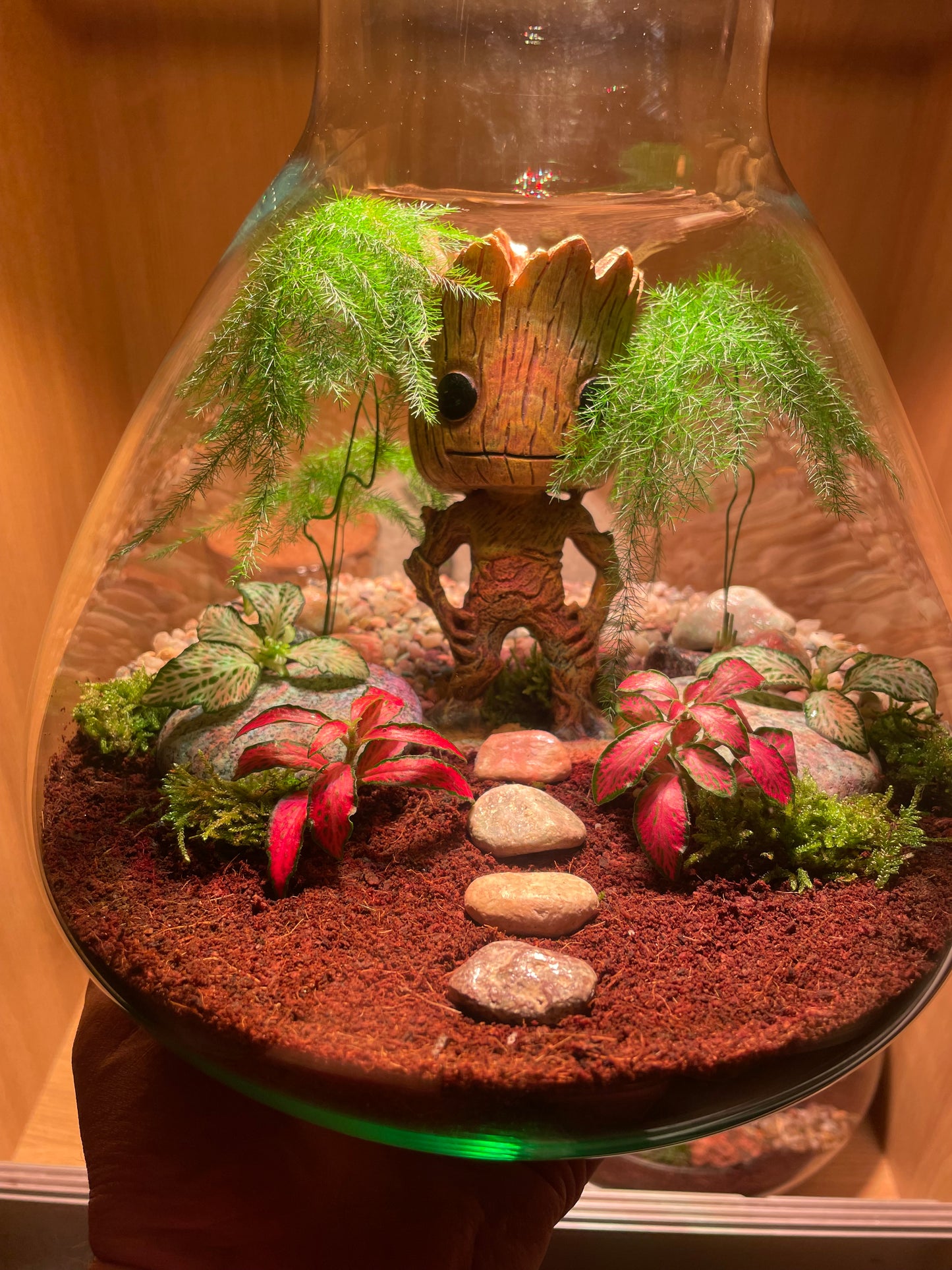 ***NEW*** Grootarium