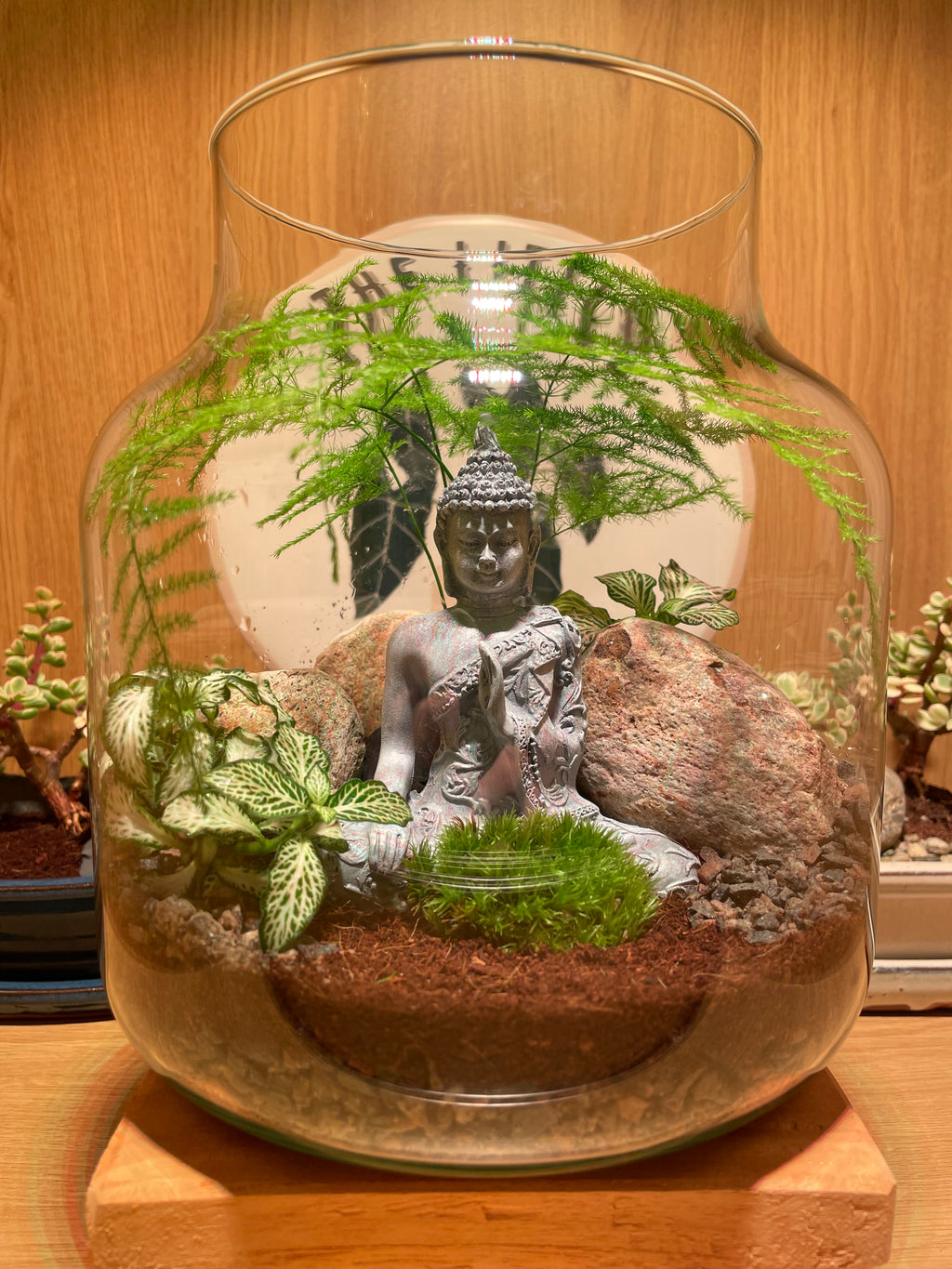 Buddha Terrarium