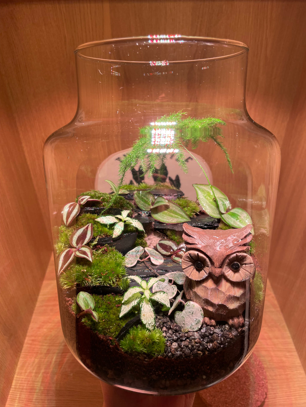 Owl Terrarium