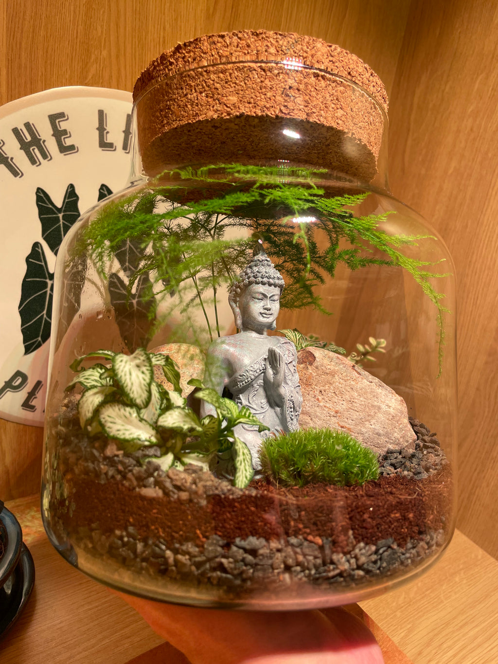 Buddha Terrarium