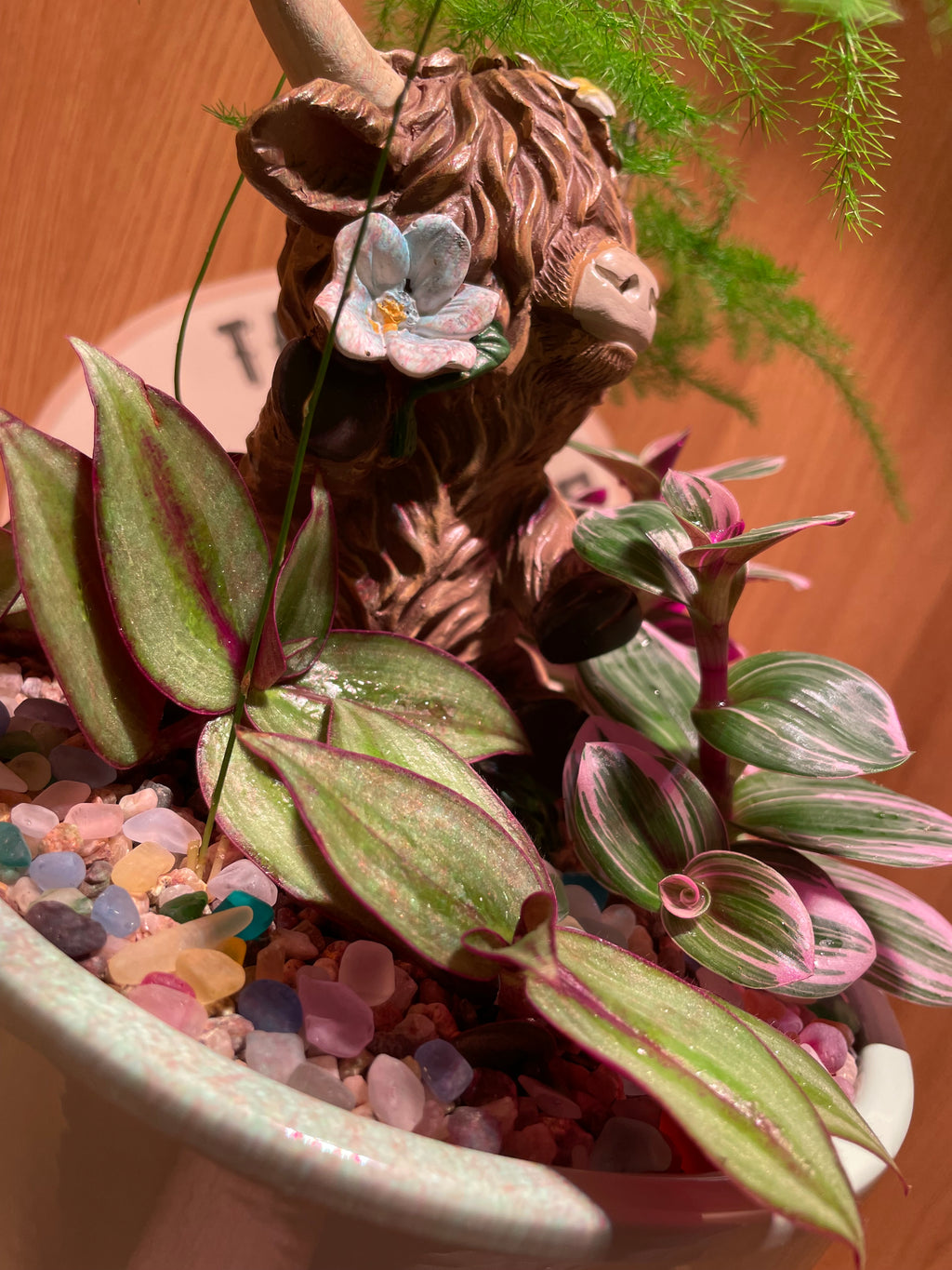 Highland Cow Bowl