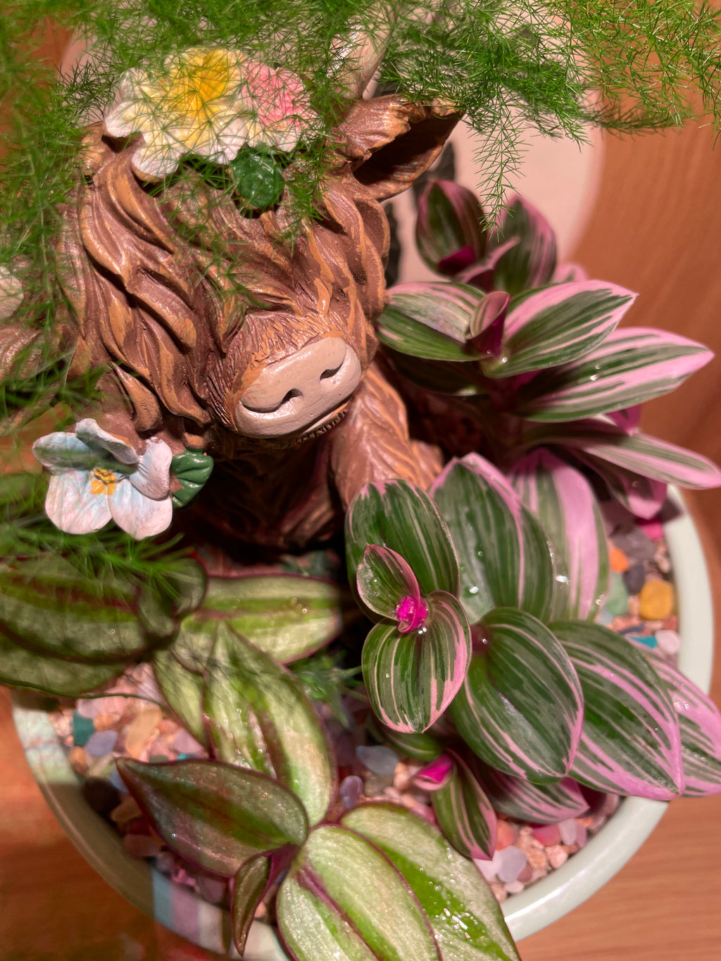 Highland Cow Bowl
