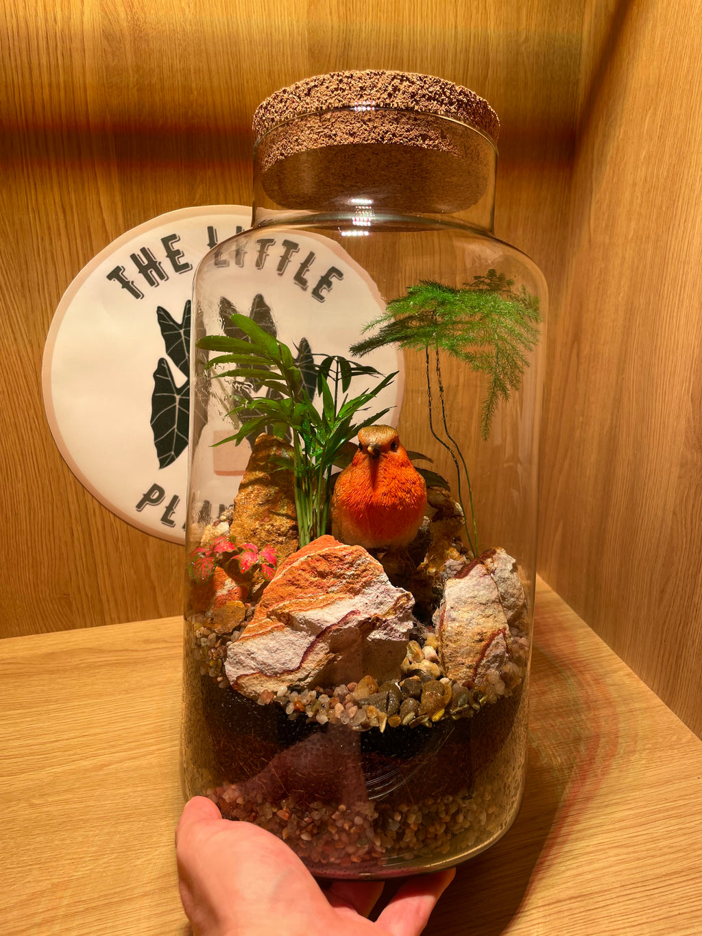 Rocky Robin Terrarium