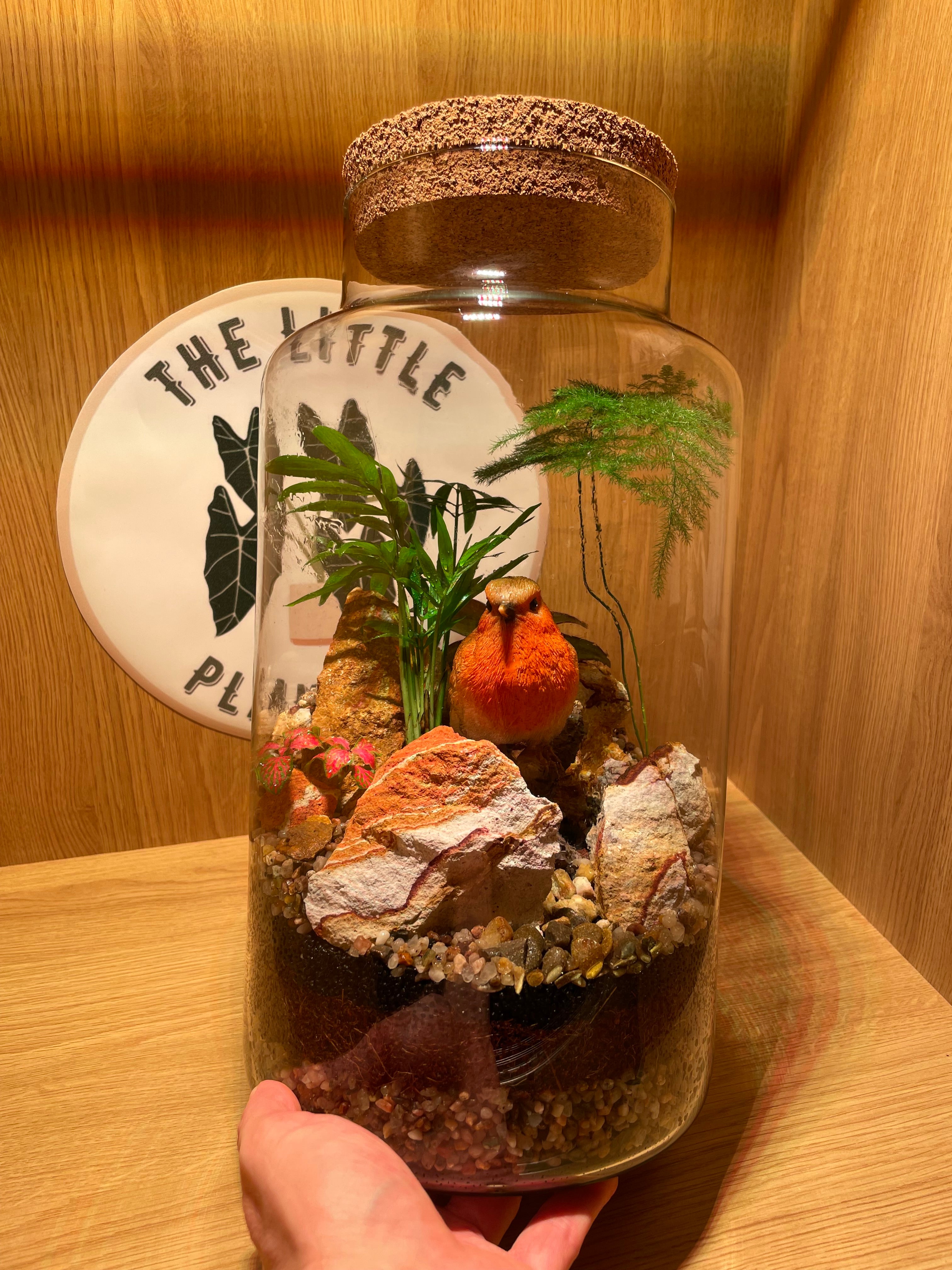 Rocky Robin Terrarium
