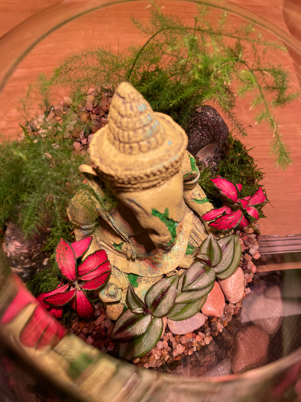 Ganesha Terrarium