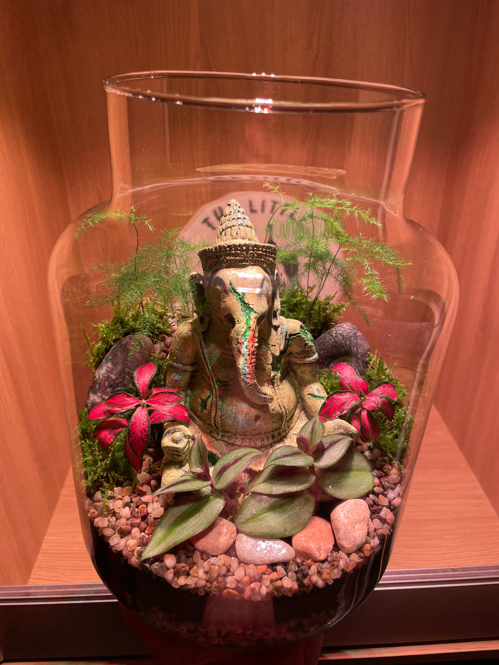 Ganesha Terrarium