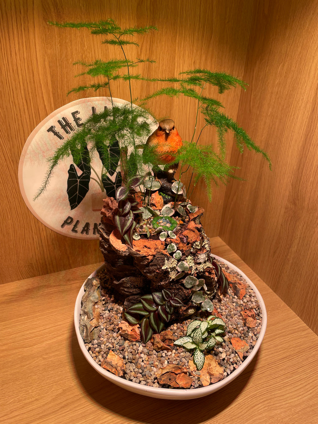 Robin Garden