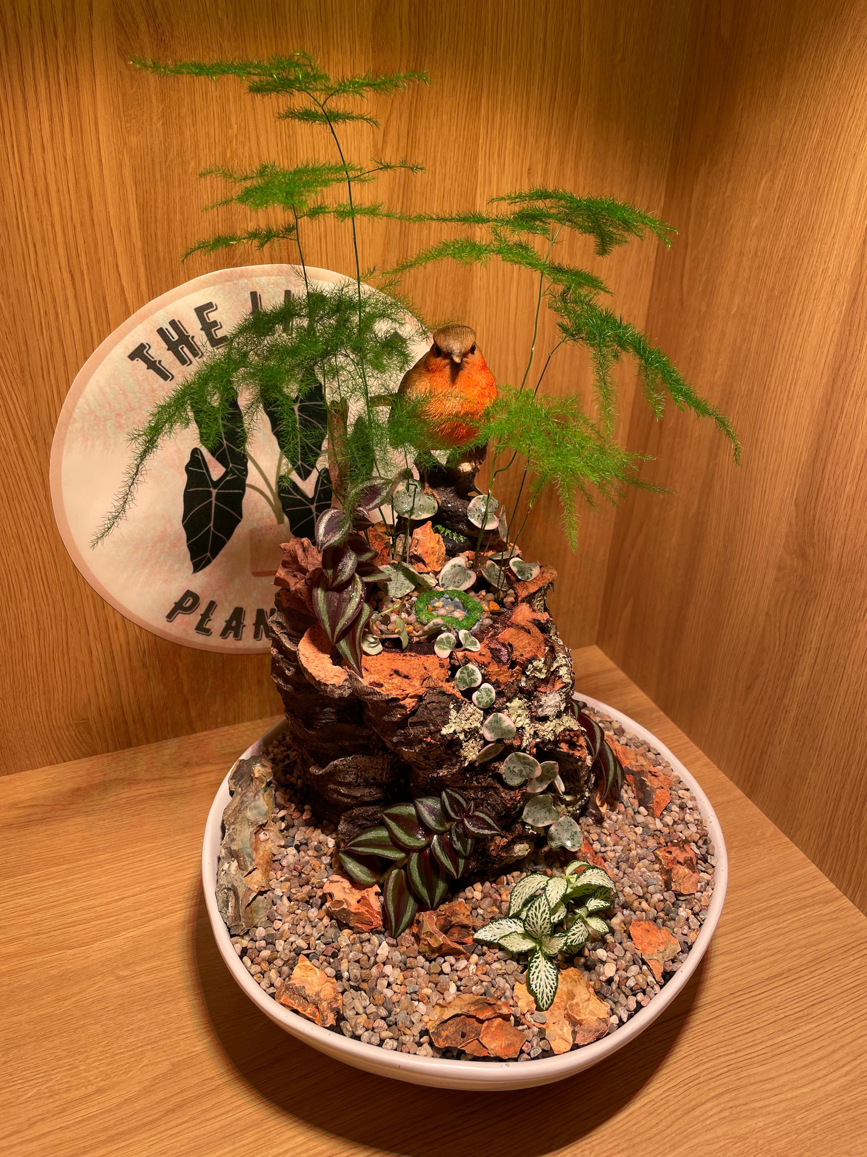 Robin Garden