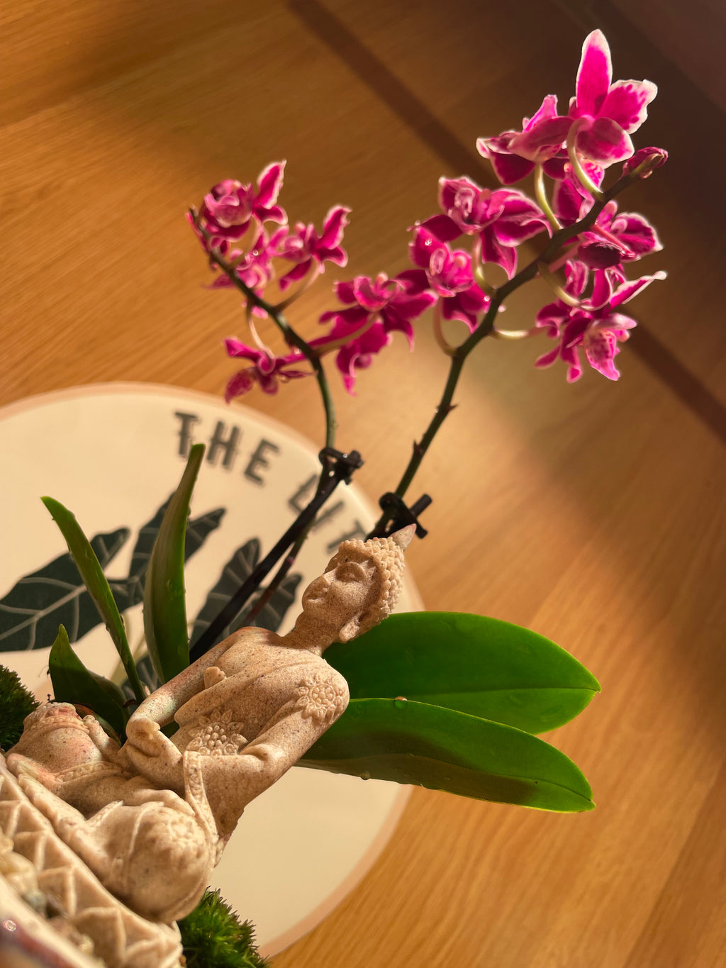 Buddha and the Orchid