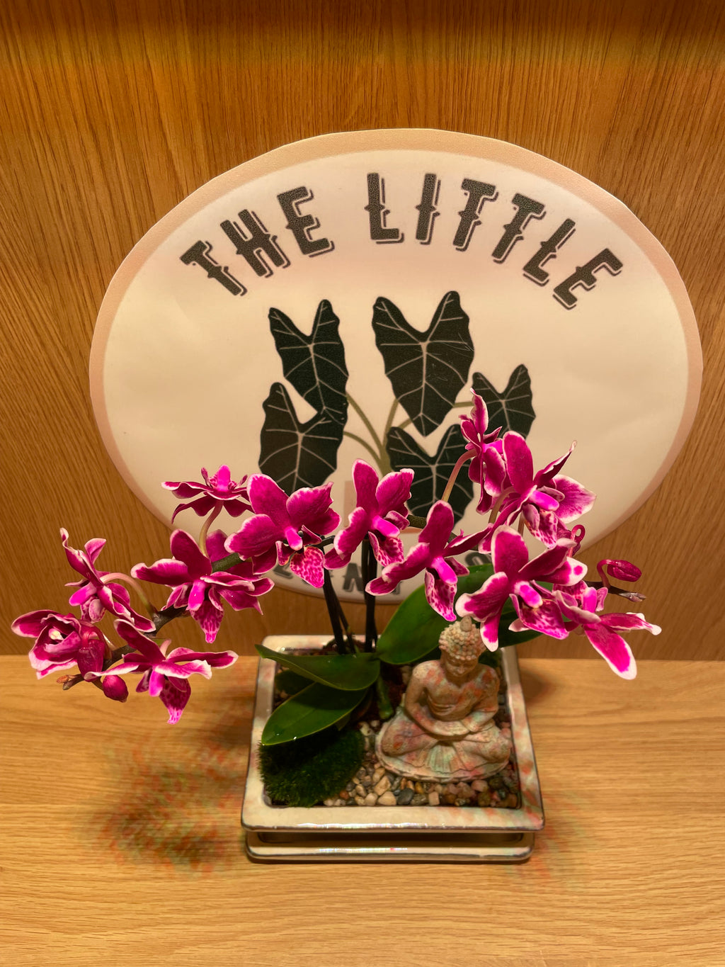 Buddha and the Orchid