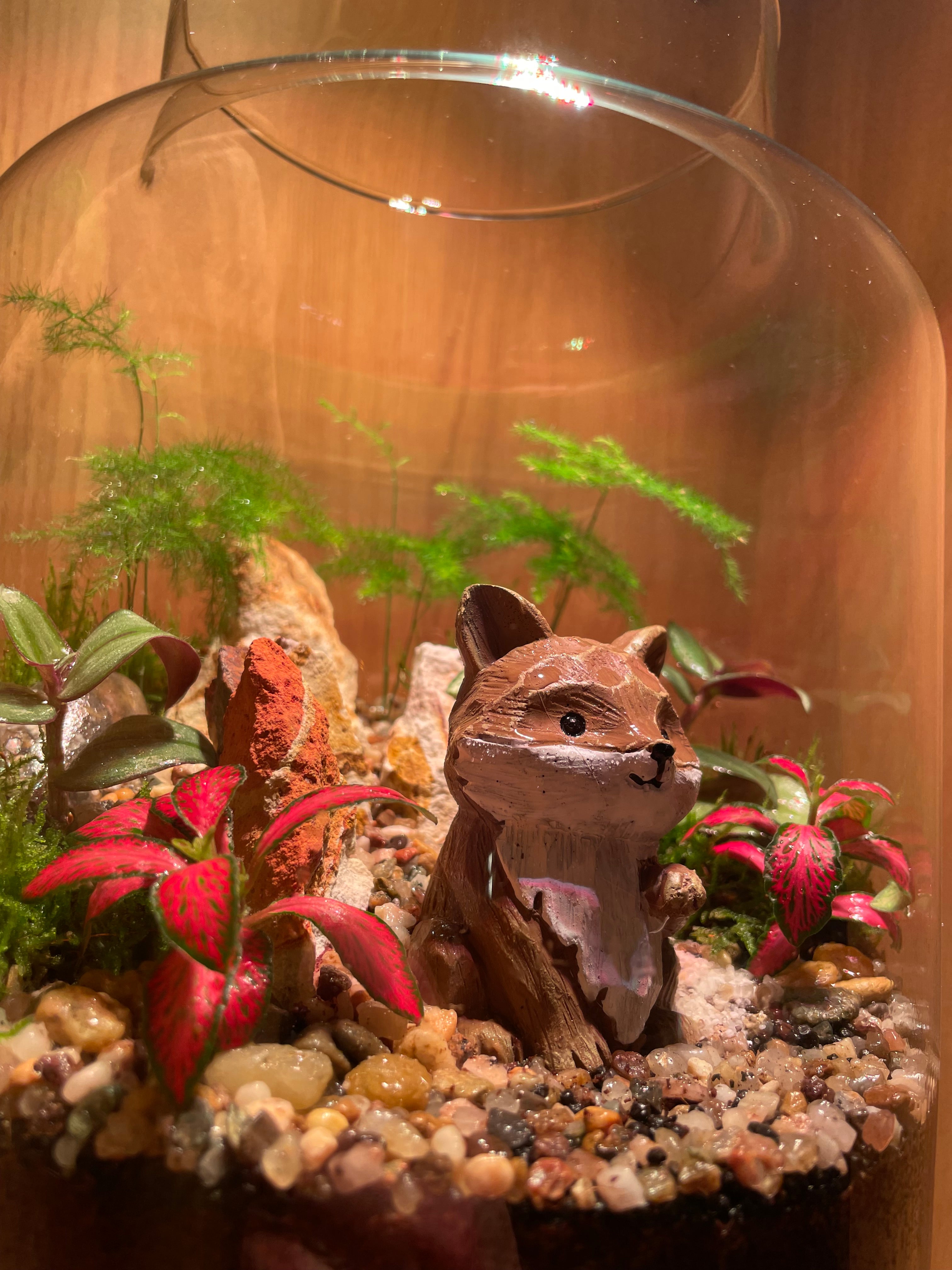 Mr Fox Terrarium