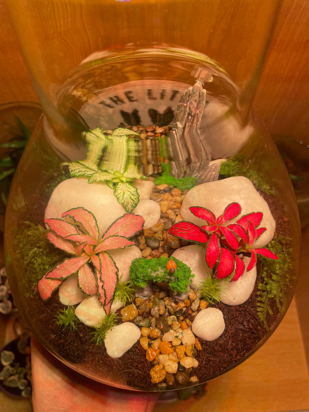 ***NEW*** Little Bird Terrarium