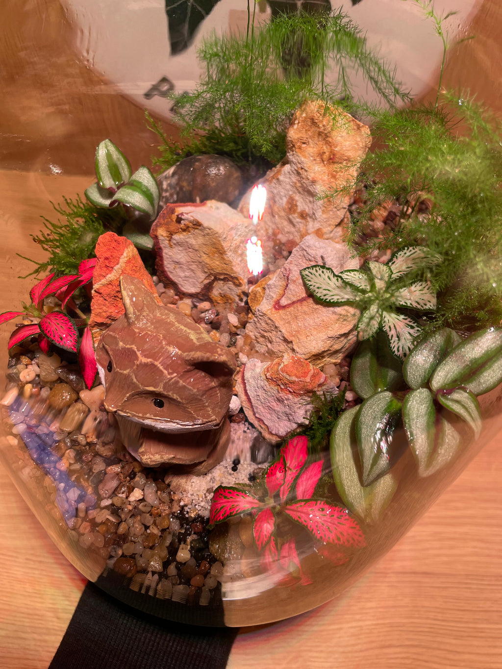 Mr Fox Terrarium