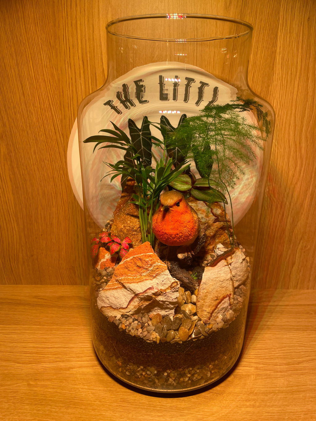 Rocky Robin Terrarium
