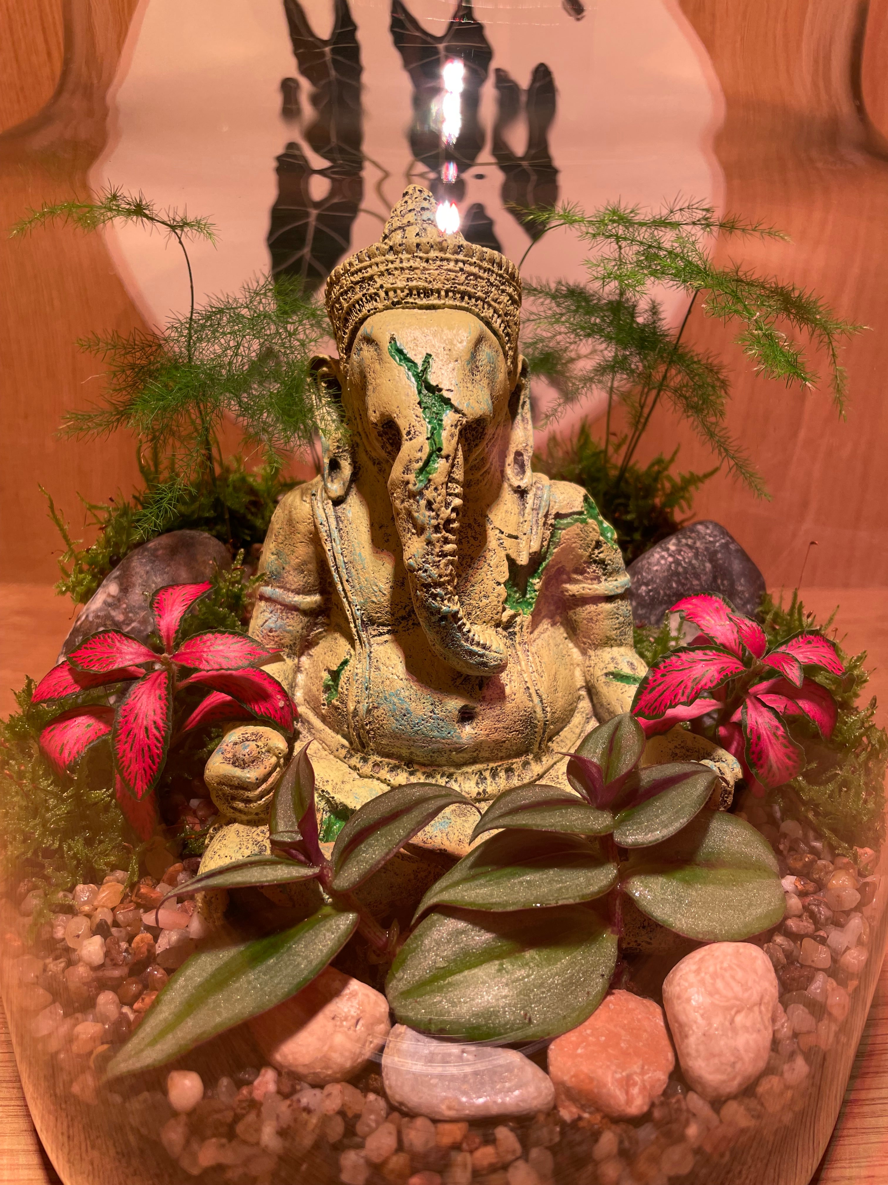 Ganesha Terrarium