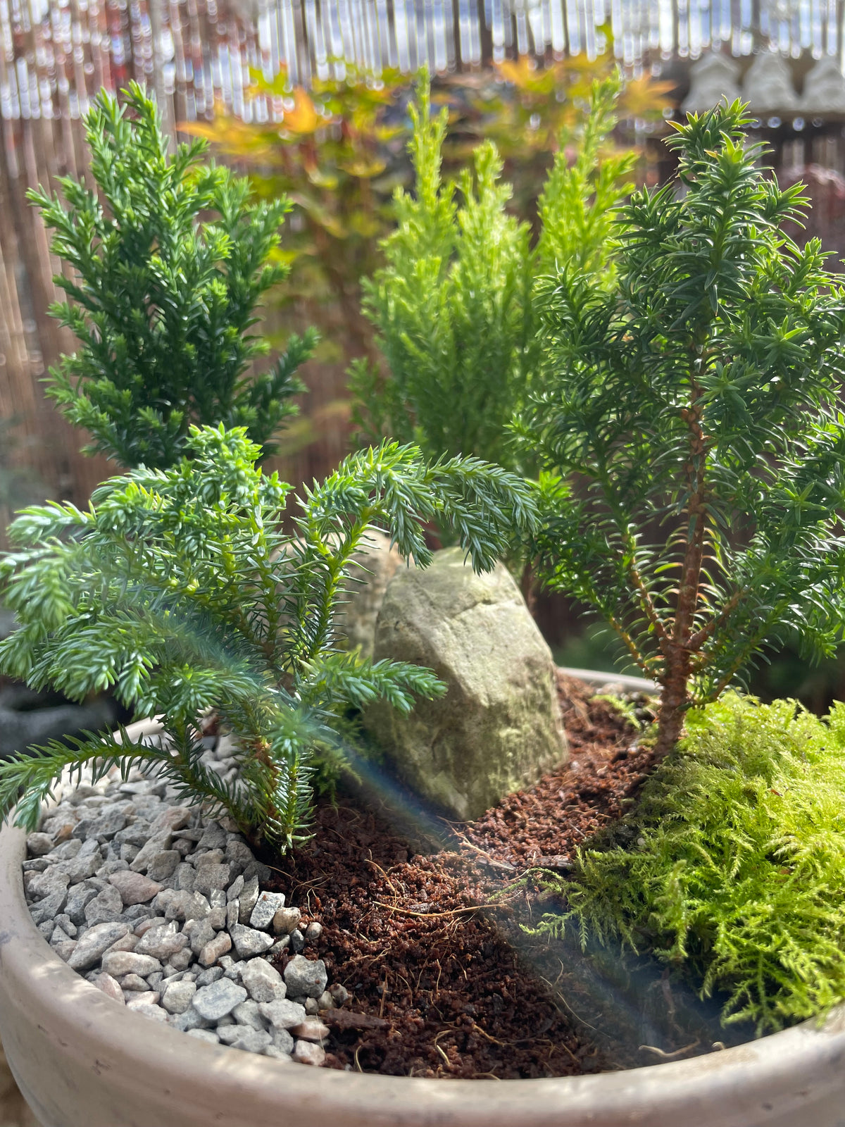 DIY Mini Forest Bowl Kit