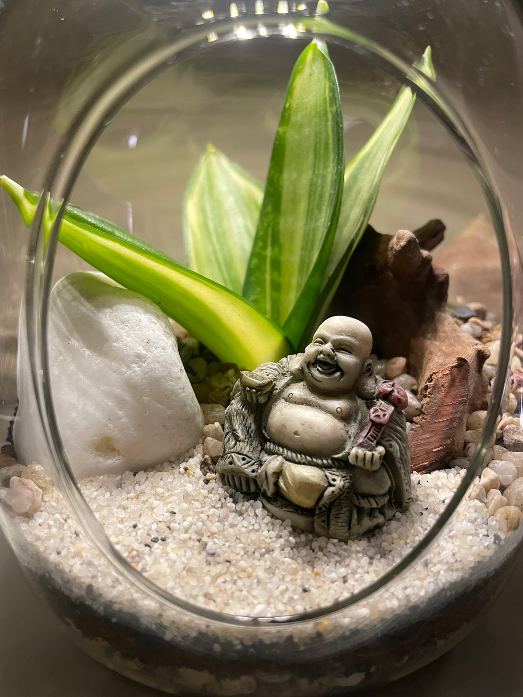 Buddha LED Terrarium