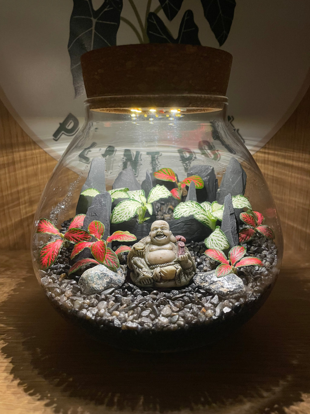 Buddha LED Terrarium