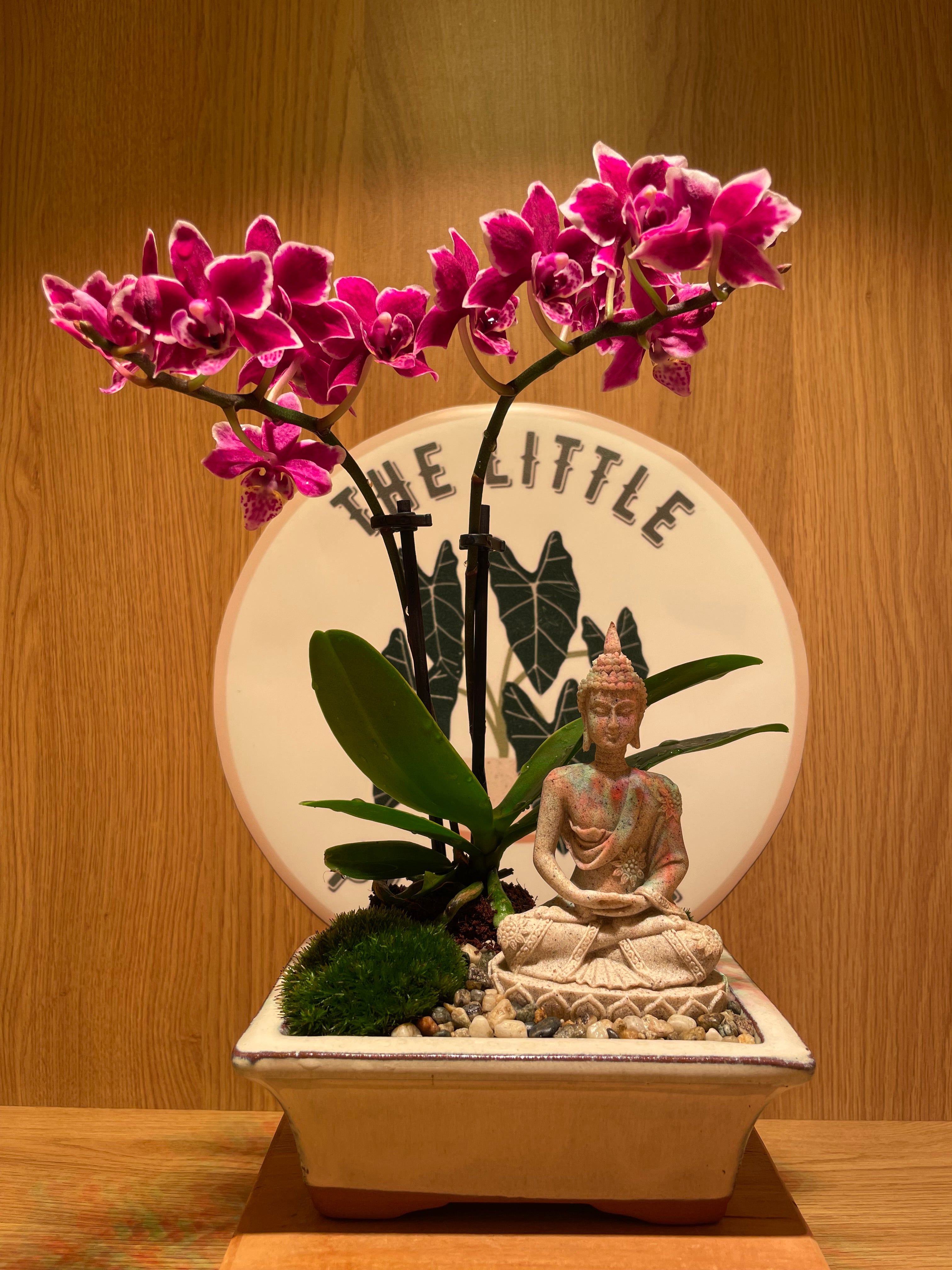 Buddha and the Orchid