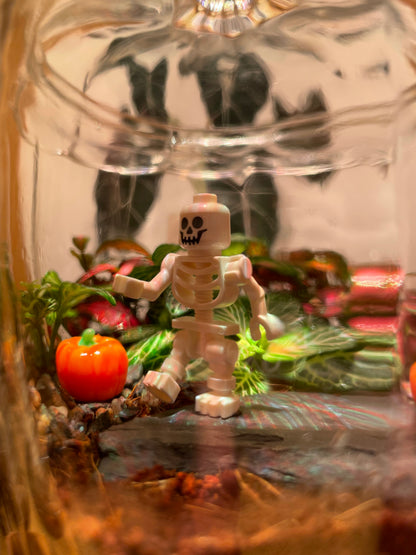 Pumpkin Terrarium