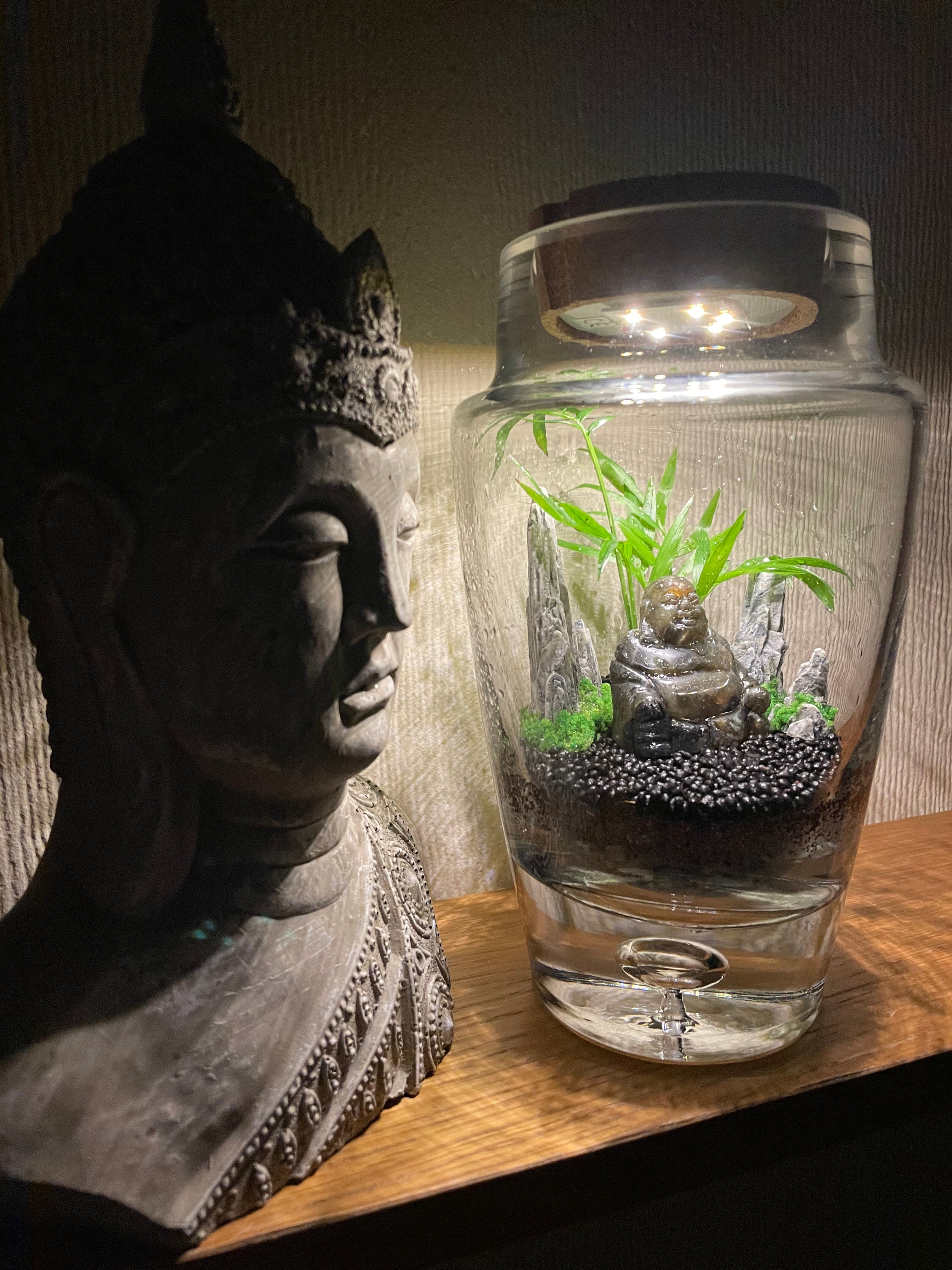 Black Crystal Buddha LED Terrarium