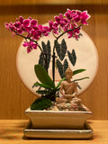 Buddha and the Orchid