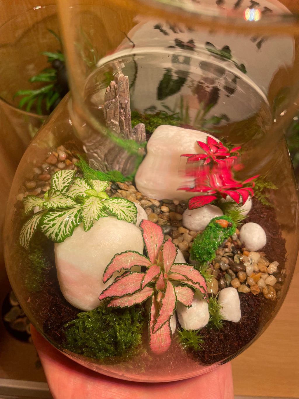 ***NEW*** Little Bird Terrarium