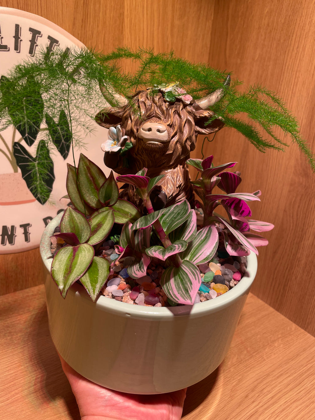 Highland Cow Bowl