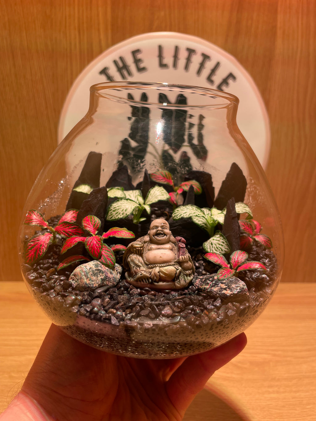 Buddha LED Terrarium