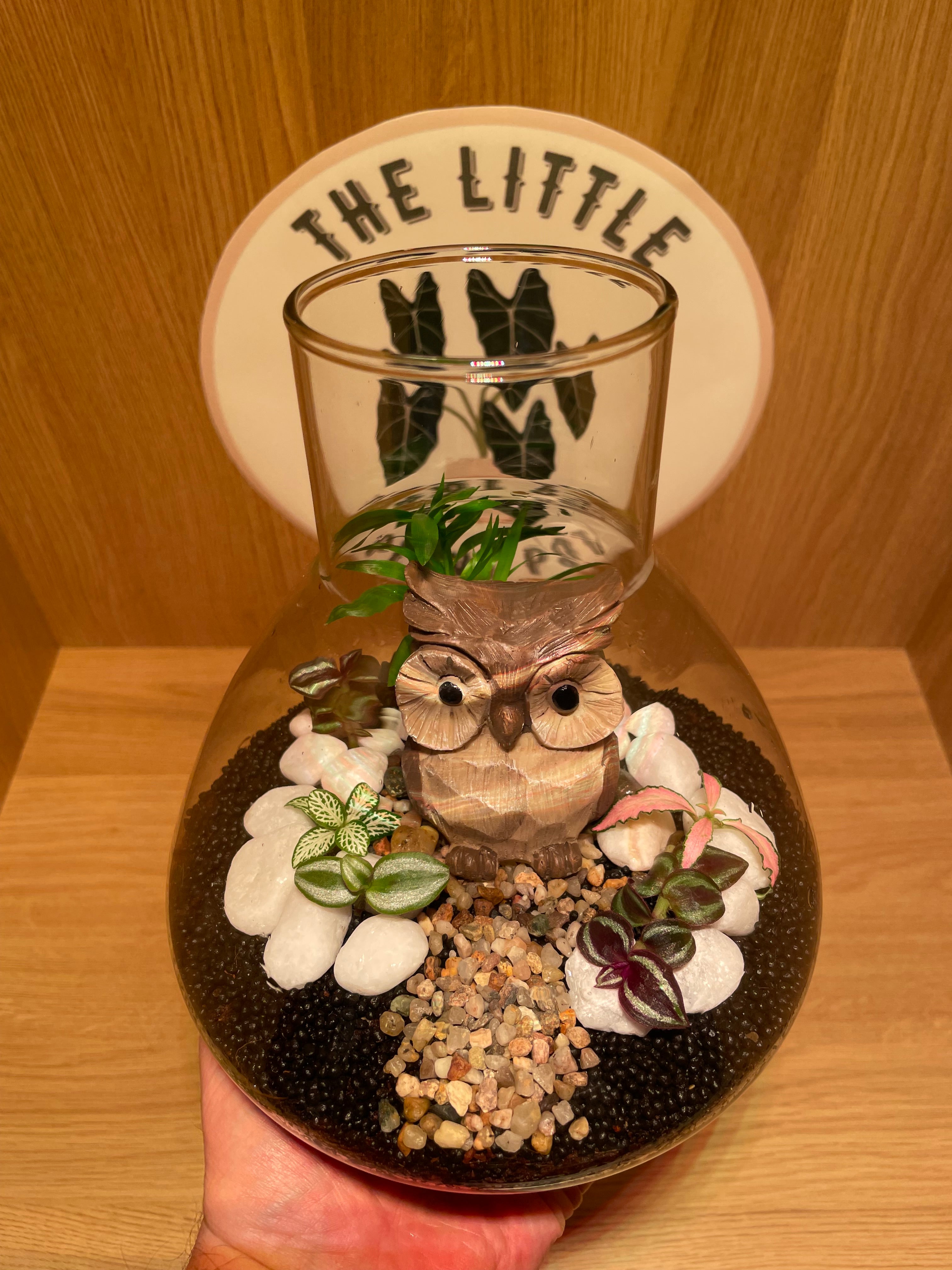 Little Owl Terrarium