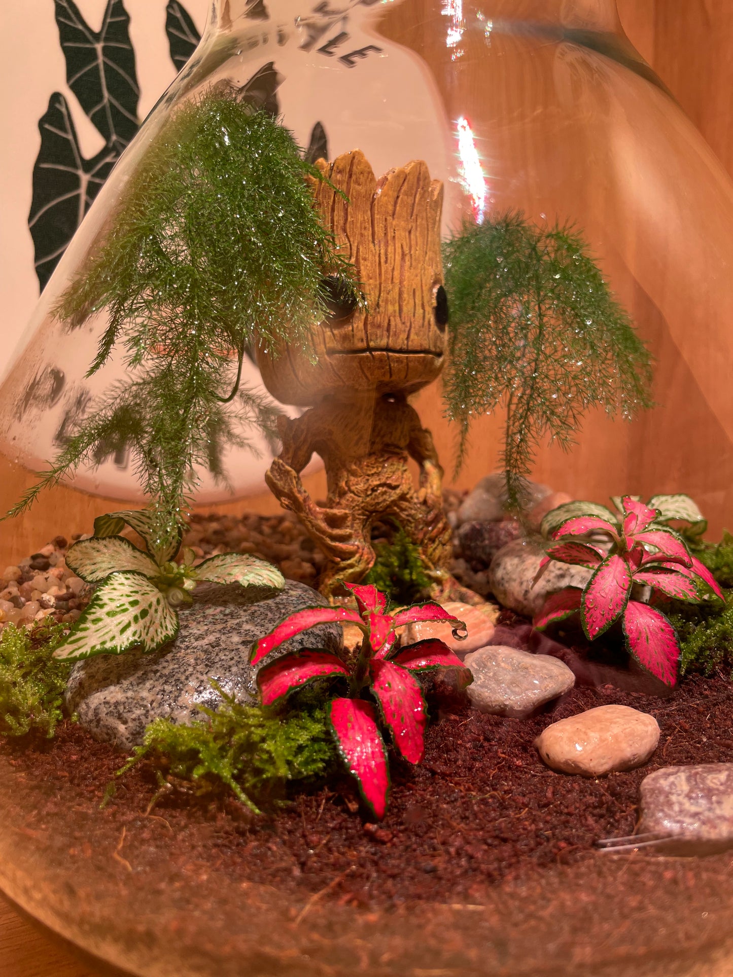 ***NEW*** Grootarium