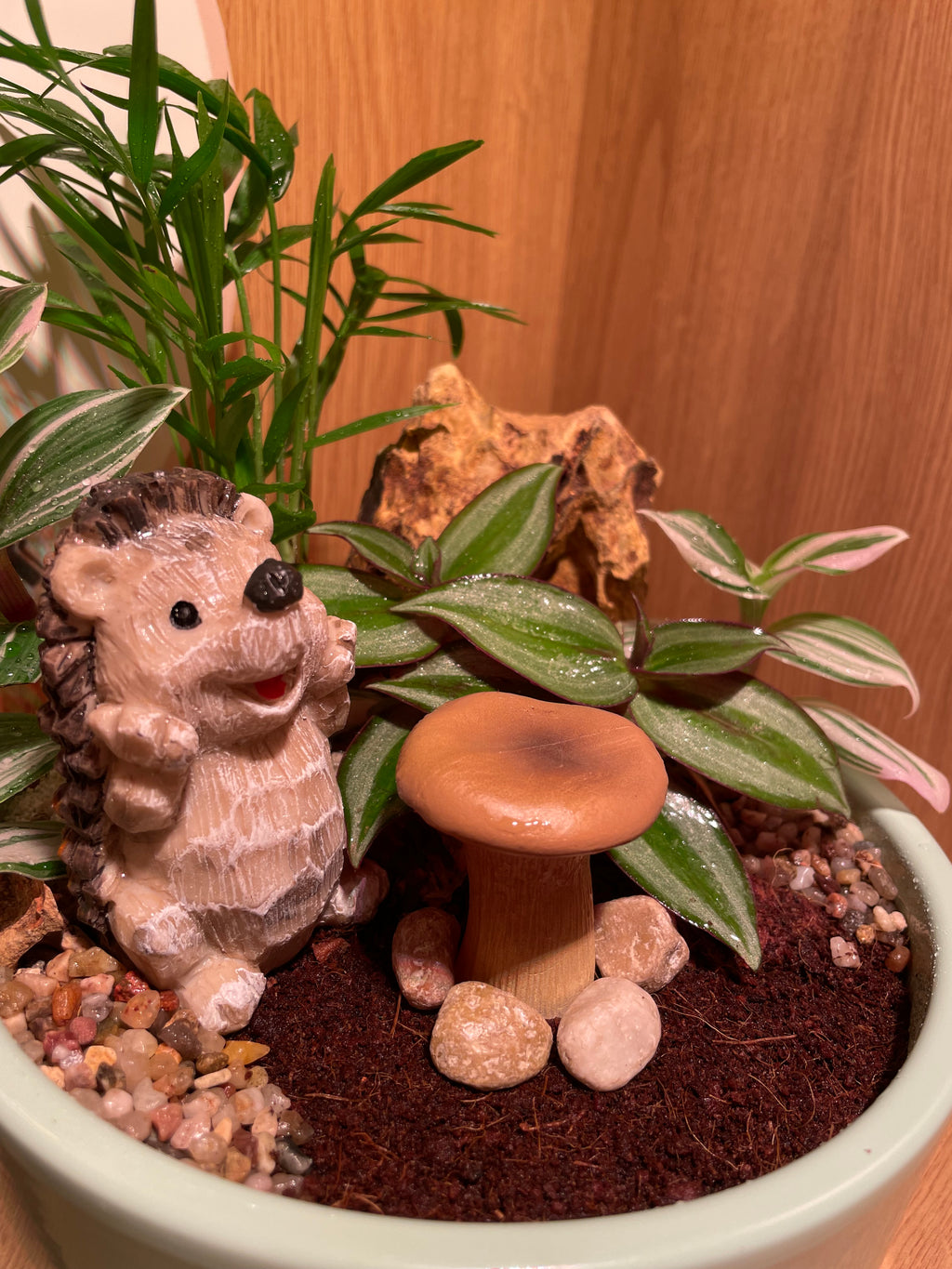 Hedgehog Bowl