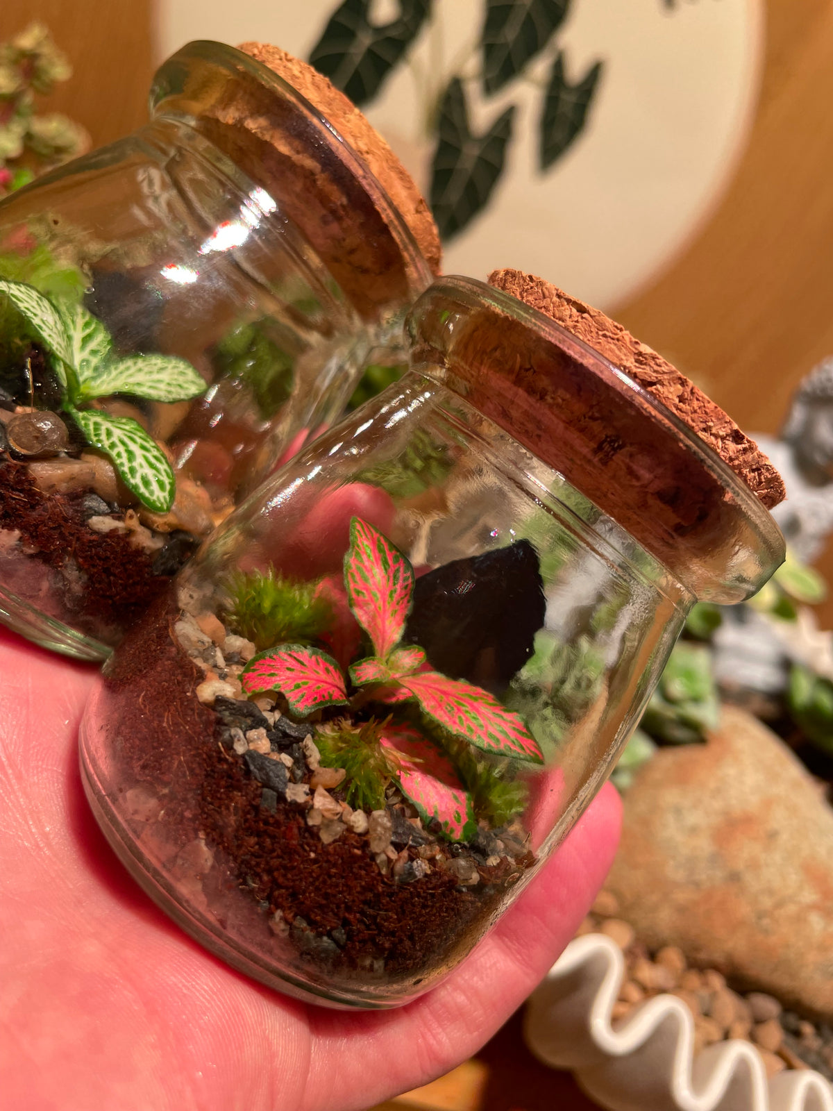 Micro Terrarium