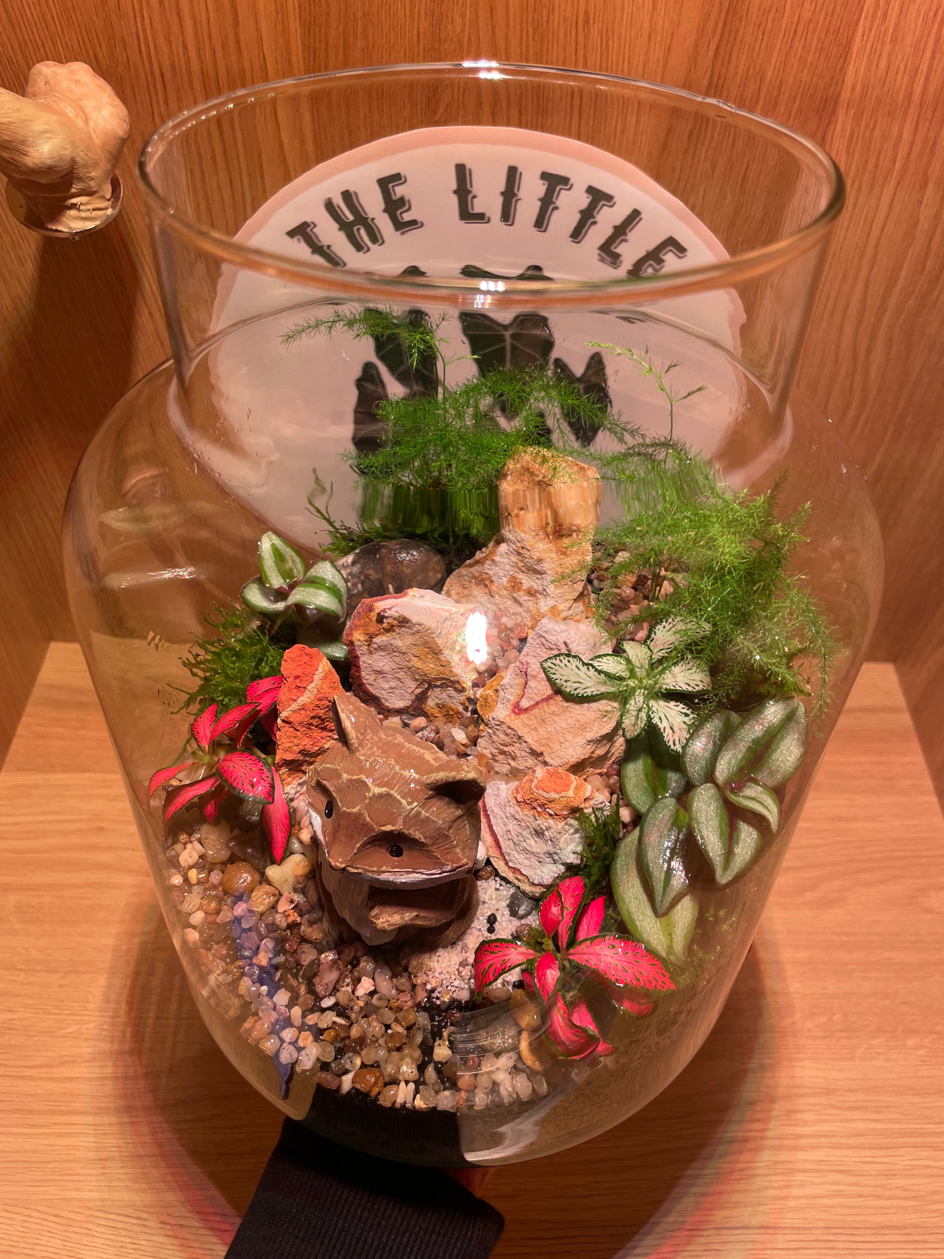 Mr Fox Terrarium