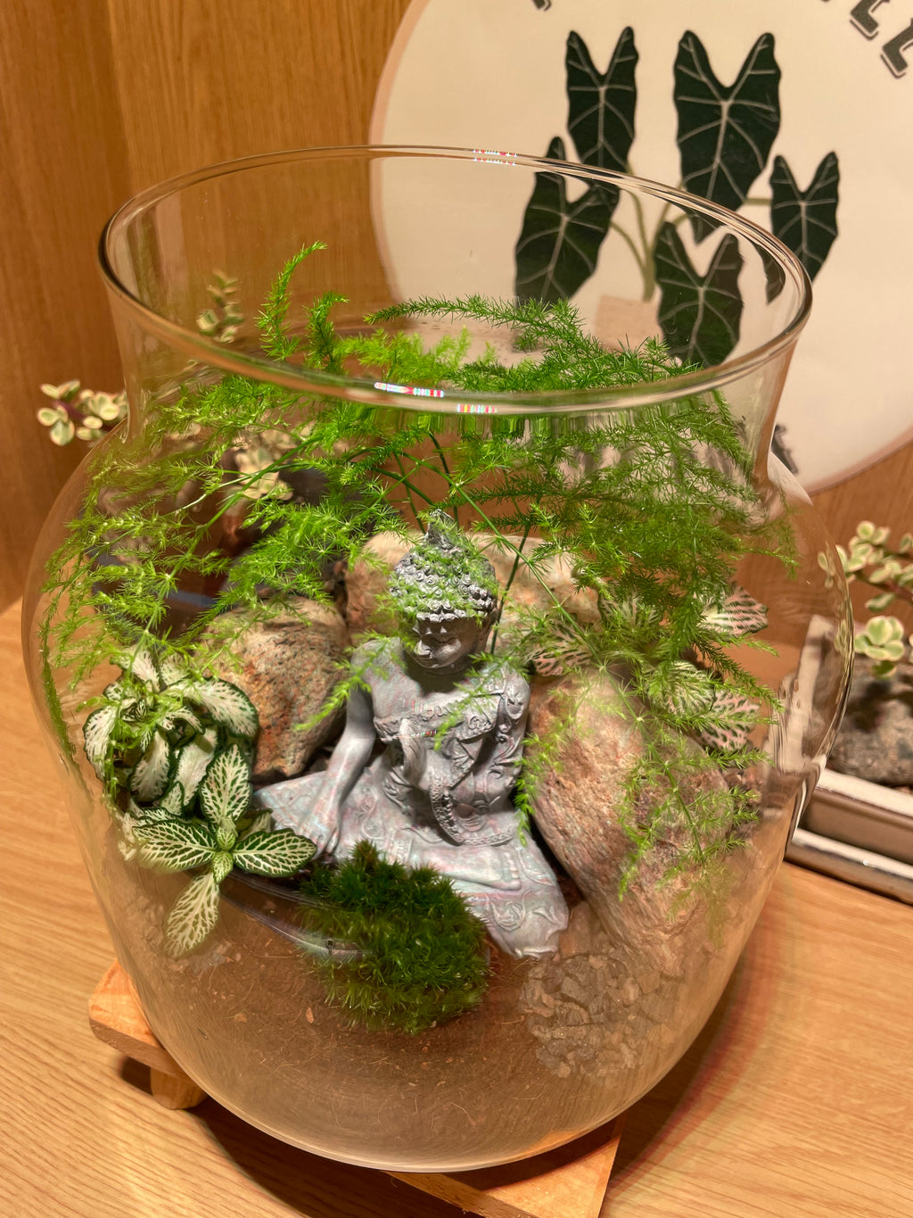 Buddha Terrarium