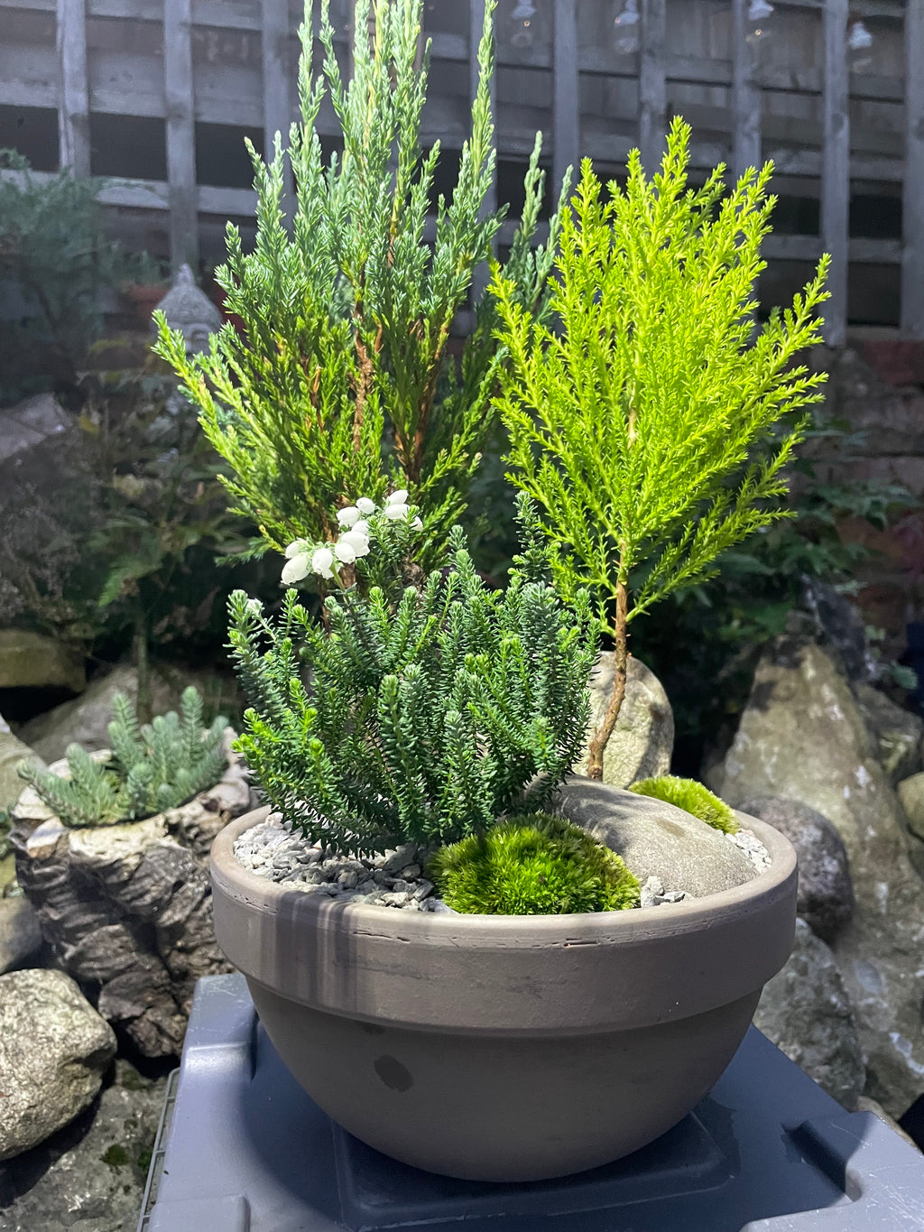 Mini Forest Bowl