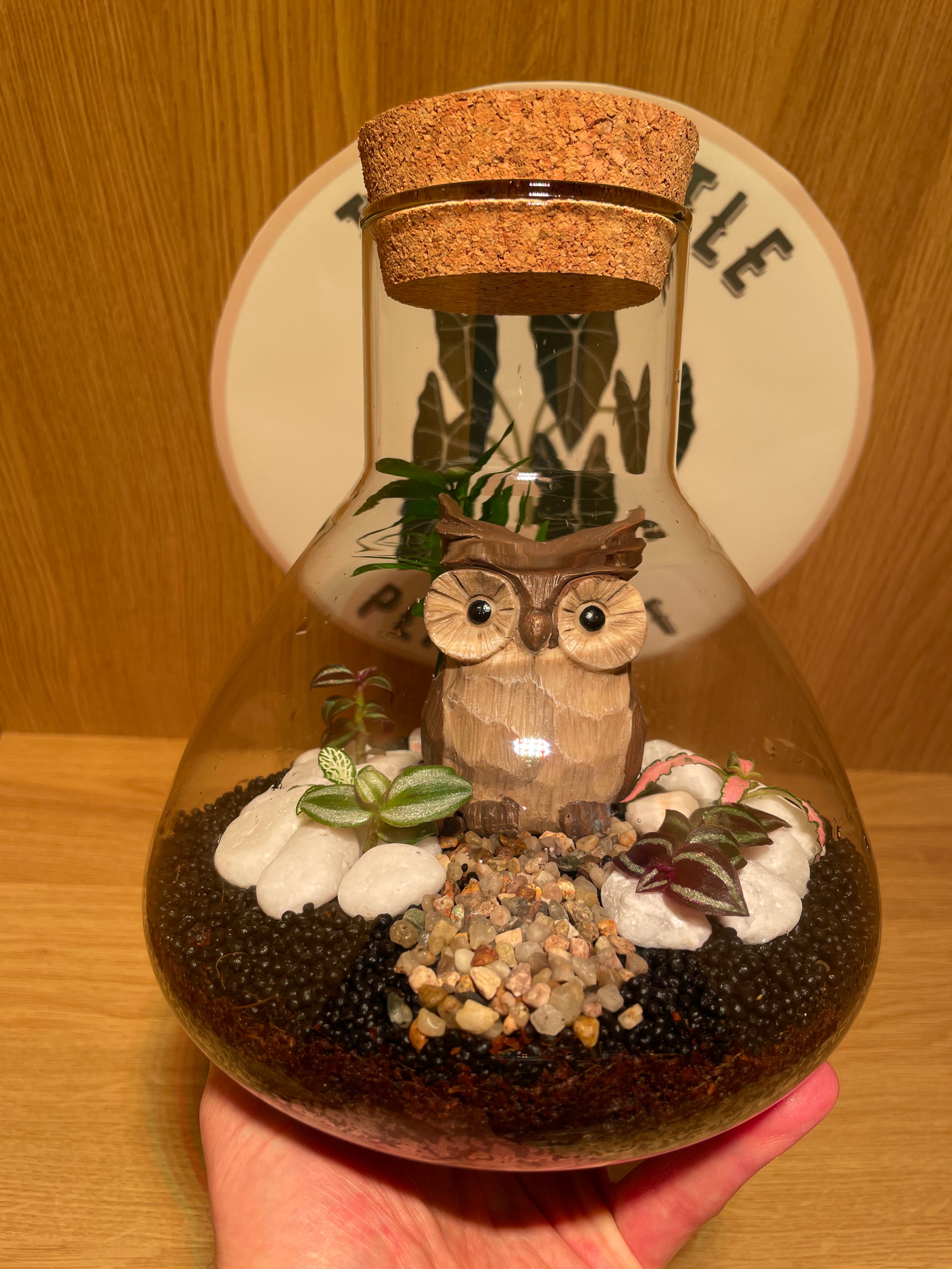 Little Owl Terrarium