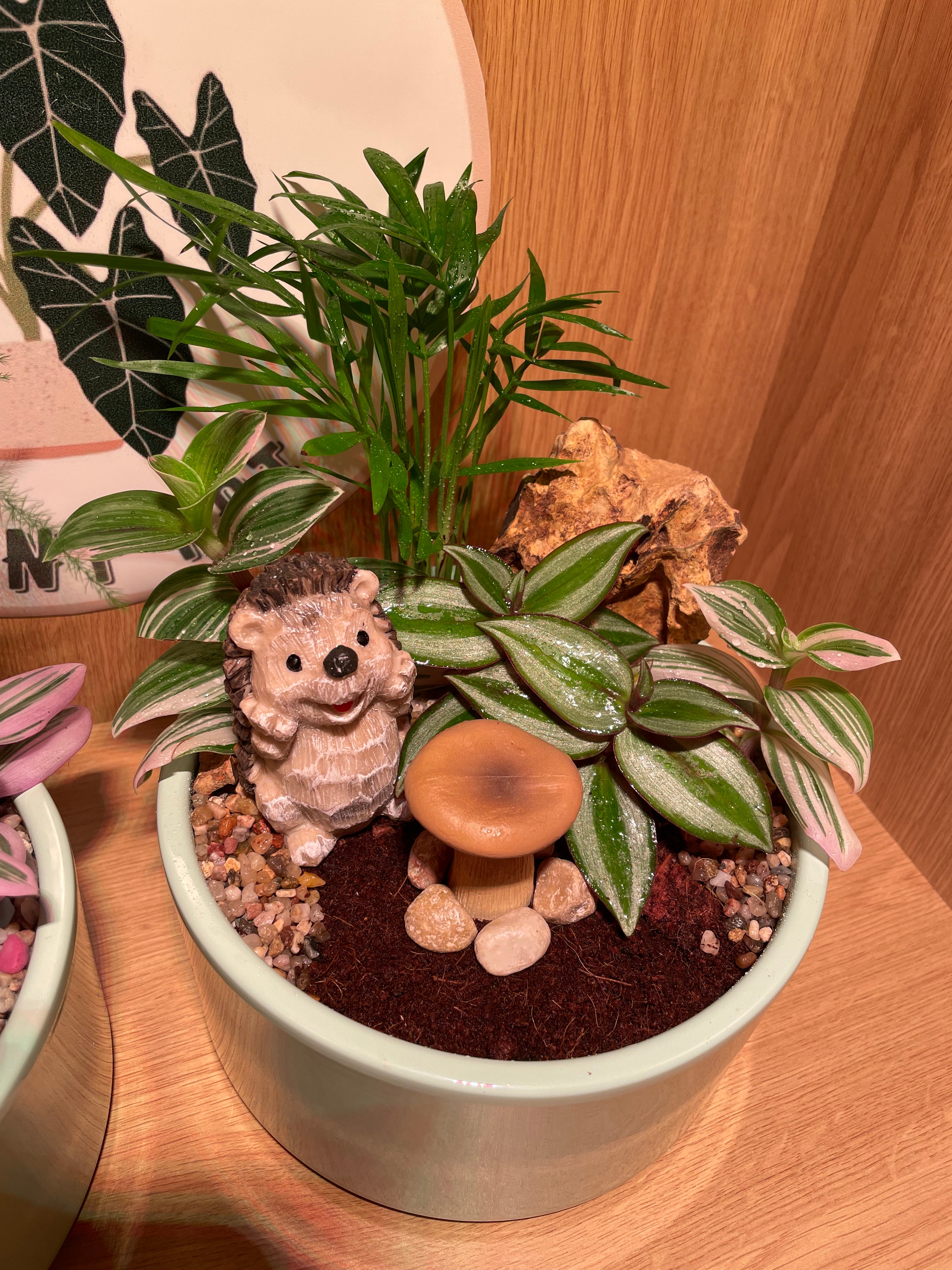 Hedgehog Bowl