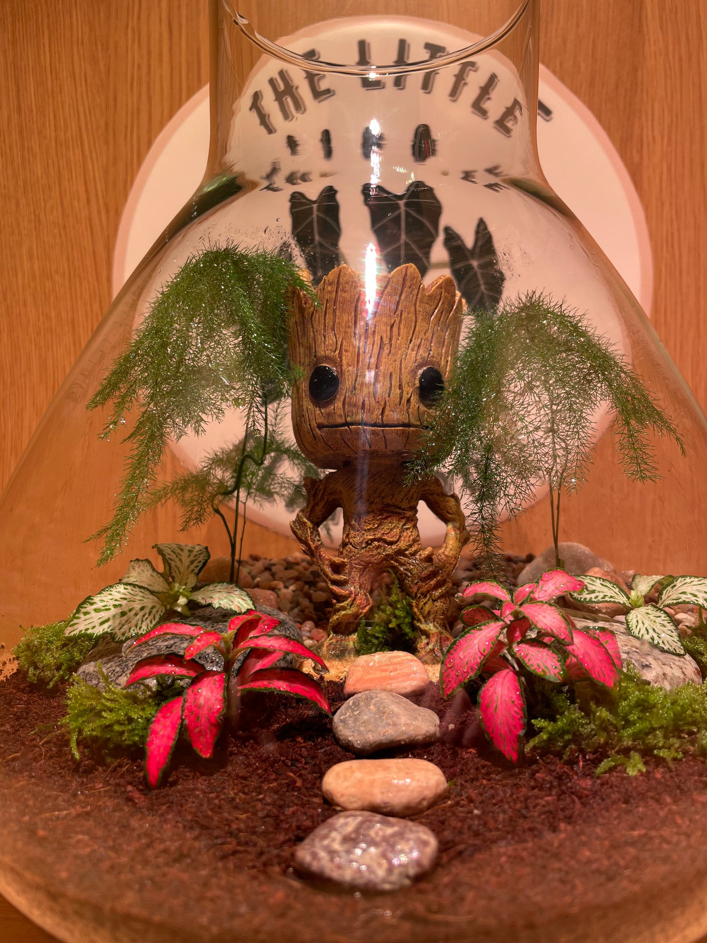 ***NEW*** Grootarium